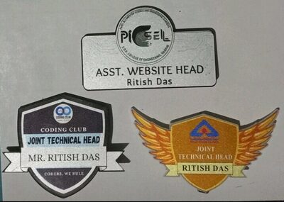 assets/3rdyr/badges.jpg